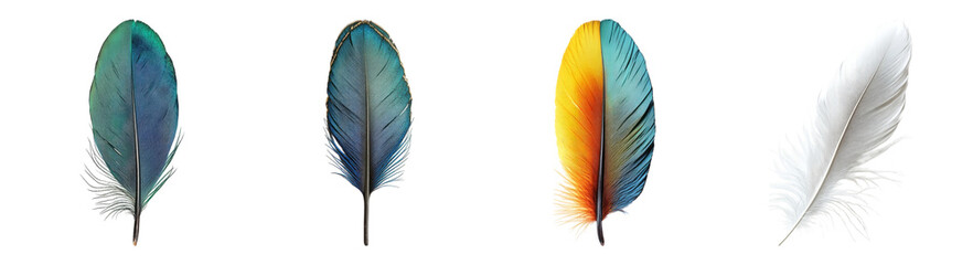 Colorful Feathers with Unique Patterns and Textures Isolated on White, PNG bundle collection, Isolated on Transparent Background