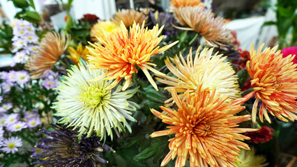 Obraz premium Vibrant Chrysanthemum Market Bouquet with Mixed Colors