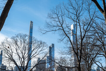 Leafless branches in Central Park frame tall Manhattan towers during winter creating a peaceful seasonal city park scene under clear skies