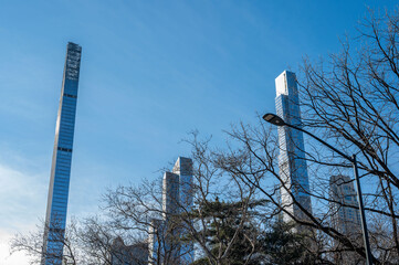Central Park winter landscape showing bare branches and tall Manhattan buildings under bright blue skies highlighting urban calm