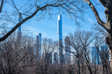 Central Park winter scene with leafless trees framing modern Manhattan skyscrapers against a clear sky highlighting calm seasonal mood and iconic New York scenery