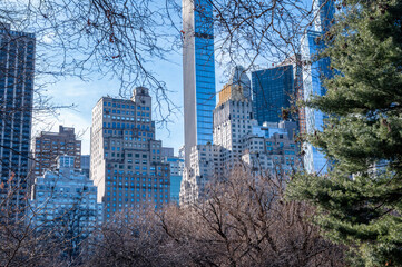 Sunlight filters through bare winter trees in Central Park New York City with Manhattan skyscrapers in the background creating dramatic seasonal light