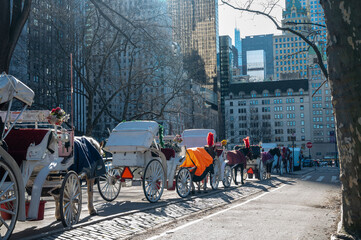 Close view of a horse drawn carriage along Central Park South in winter with historic buildings bare trees and active city traffic