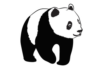 Panda Vector Image   © Ajay