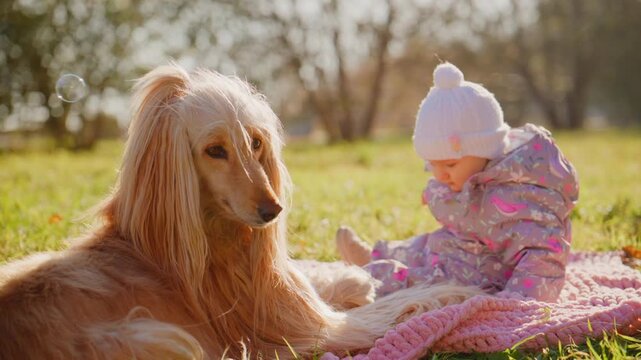 A Heartwarming Scene of a Playful Child and a Gentle Dog Enjoying a Beautiful Day Outdoors in the Sunlight Surrounded by Nature and Glimmering Bubbles.