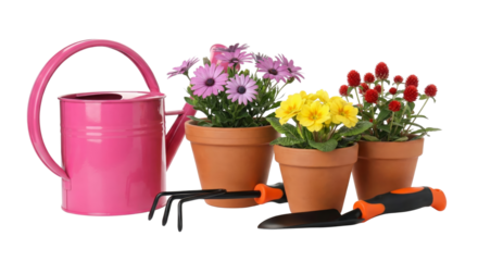 Gardening tools watering can and potted flowers on white background