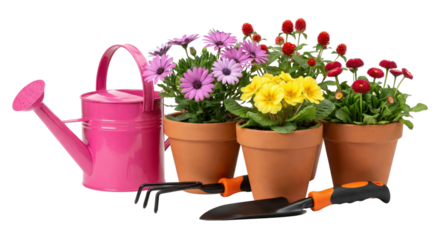 Gardening tools and potted flowers, watering can, rake, trowel, spring plants