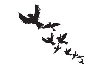 Flock Of Birds Silhouette Vector Image  
