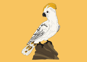 Cockatoo Parrot Bird Vector Image 
