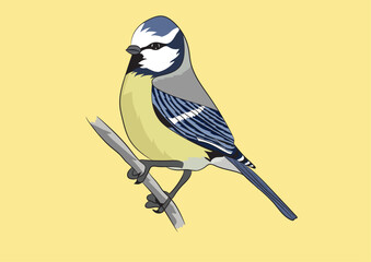Sparrow Illustration Vector Image  

