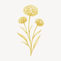 Fototapeta premium Elegant golden floral illustration