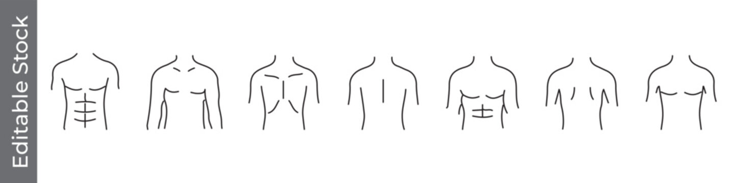 Male torso and chest anatomy icon set &ndash; editable outline symbols of abs, pectoral, muscle, fitness and body structure