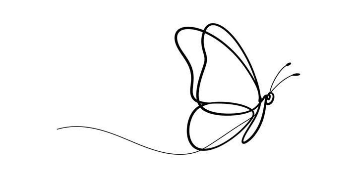Minimalist continuous line drawing of a butterfly in flight against a white background Vector, illustration