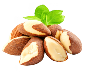 Brazil nuts piled with leaves display a nutrient rich treat on transparent background