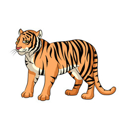 Tiger Vector Image  
