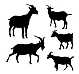 Goats Silhouette Vector Set 
