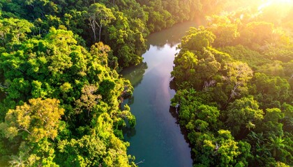 Lush Green Rainforest River Flowing Through Dense Tropical Jungle Under Golden Sunlight