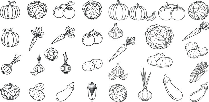 Outlined vegetable icons collection, including pumpkins, cabbage, potatoes, eggplant, and corn, on the white background