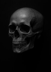 Dark skull art wallpaper