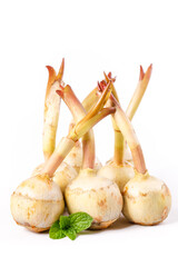 Fresh White Troglodyte Mushrooms with Mint Leaf © NguyenThi