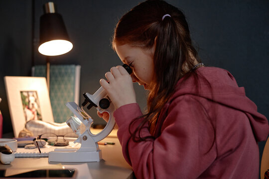 Caucasian girl child using microscope at desk, concentrating on scientific experiment, demonstrating prodigy level focus and curiosity, long brown hair tied back, studying specimen - Powered by Adobe