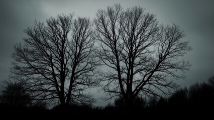 Silhouetted twin bare trees against a stormy gray sky, creating a somber, monochrome scene