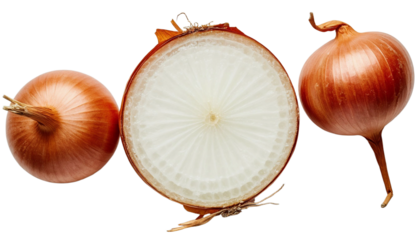 Onion sliced cross section cut vegetable food PNG