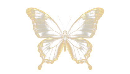 Transparent golden butterflies PNG for design overlay..