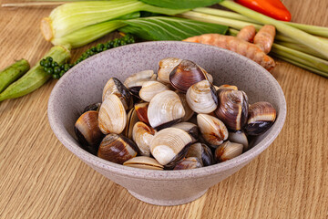 Raw fresh wild clams mollusc © Andrei Starostin