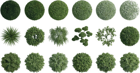 Top view blue trees and bushes collection, abstract landscape foliage elements, nature symbols, aerial forest shapes, environmental design assets, vector style botanical set