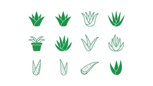 A collection of various aloe vera plant illustrations in green