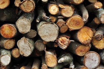 Stacked Firewood Logs with Natural Wood Grain Texture