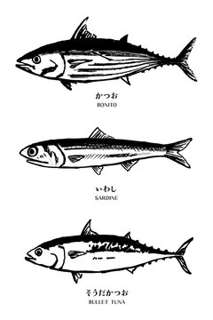 だしの魚