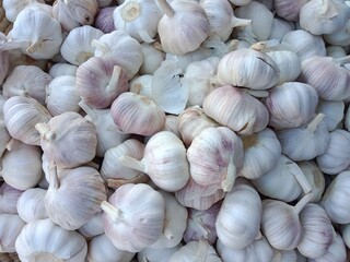 Garlic pile displayed in order on vendor's. Allium sativum pile displayed in order on vendor's.Garlic white pattern background 