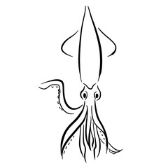 何かを指し示しているイカのモノクロ線画イラスト