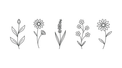 A simple line drawing of various flowers on a white background