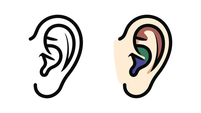 Illustration of human ear anatomy