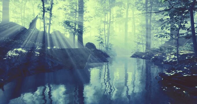 A tranquil stream flows through an enchanting forest, shrouded in fog and bathed in soft sunlight. Tall trees tower overhead, creating a serene atmosphere perfect for reflection.