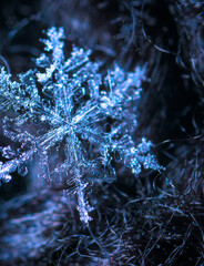 winter image background