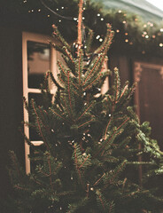 winter image background