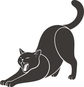 Stretching black cat hiss