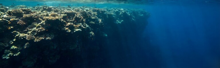 Fototapeta premium Deep Blue Ocean with Vibrant Coral Reef Wall and Sunlight