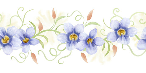 Watercolor garden vine with pastel purple flowers seamless border isolated on white. Spring tropical blossom repeat horizontal banner. Hand drawn climbing liana for summer nature floral designs © Elena Malgina