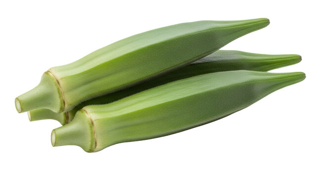 A fresh three okra slices, white background isolated