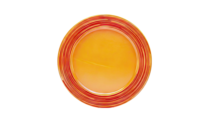 Orange Skeet Shooting Target