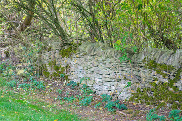Old ruined stone wall in a forest in the Cotswolds, England