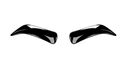 Two glossy black eyebrows on a white background