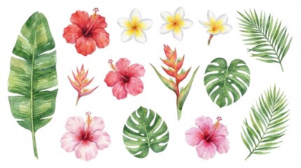 Vibrant watercolor collection of exotic tropical flowers and lush green leaves, a beautiful botanical set perfect for summer designs, invitations, and nature-themed projects
