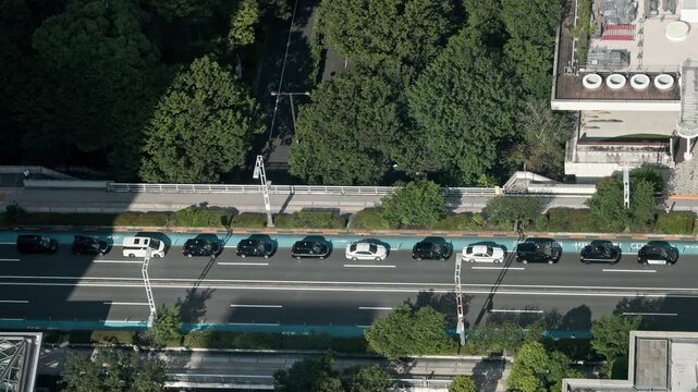 Tokyo Scene : Bird's-Eye View of Taxis Parked and Evenly Spaced Waiting for Customers in the City's Afternoon  |  Shinjuku, Tokyo, Japan