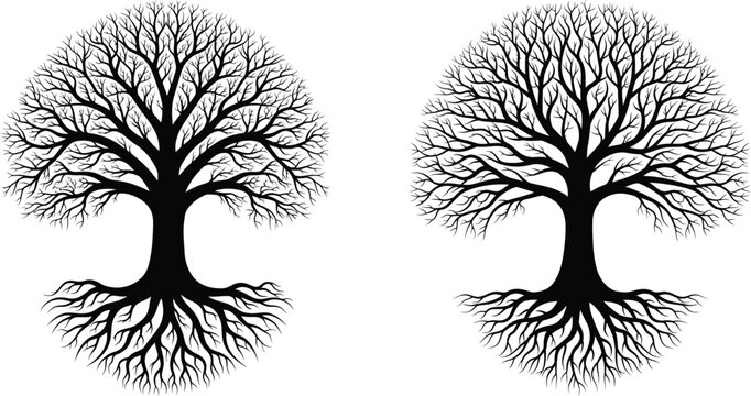 Two silhouette trees with intricate branches and roots, symmetrically designed art